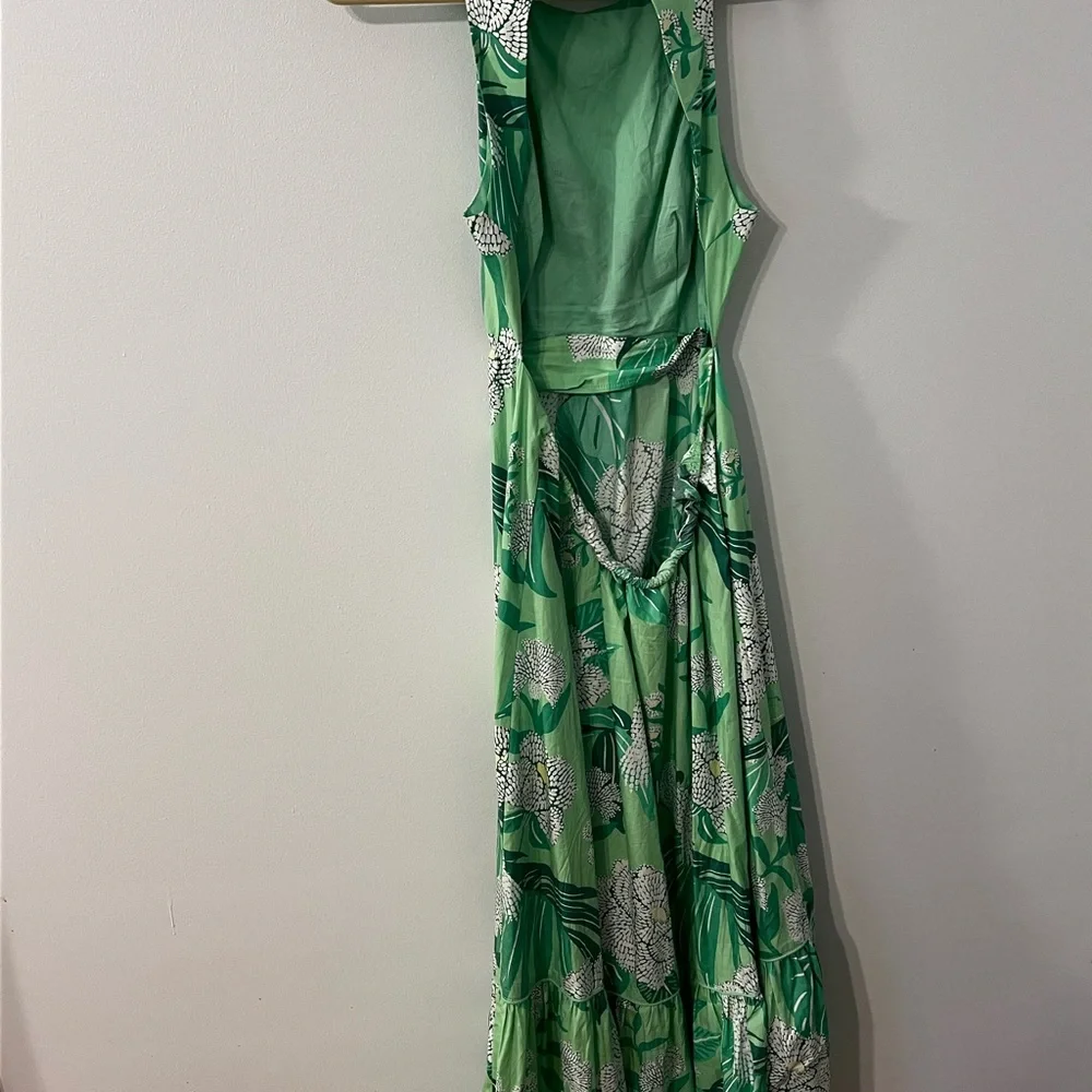 FARM Rio Green Dewdrop Floral Maxi Dress - Picture 4 of 4